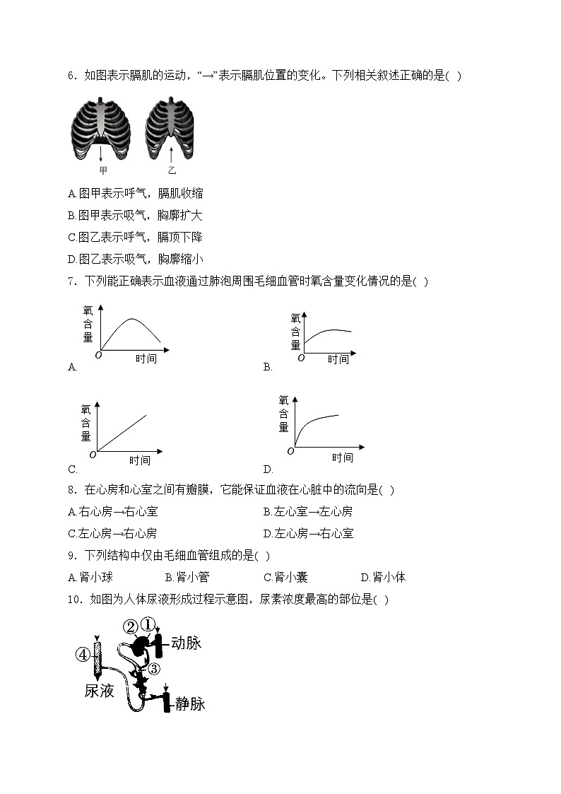 河南省周口市淮阳区淮阳中学2023-2024学年七年级下学期期末生物学试卷(含答案)第2页