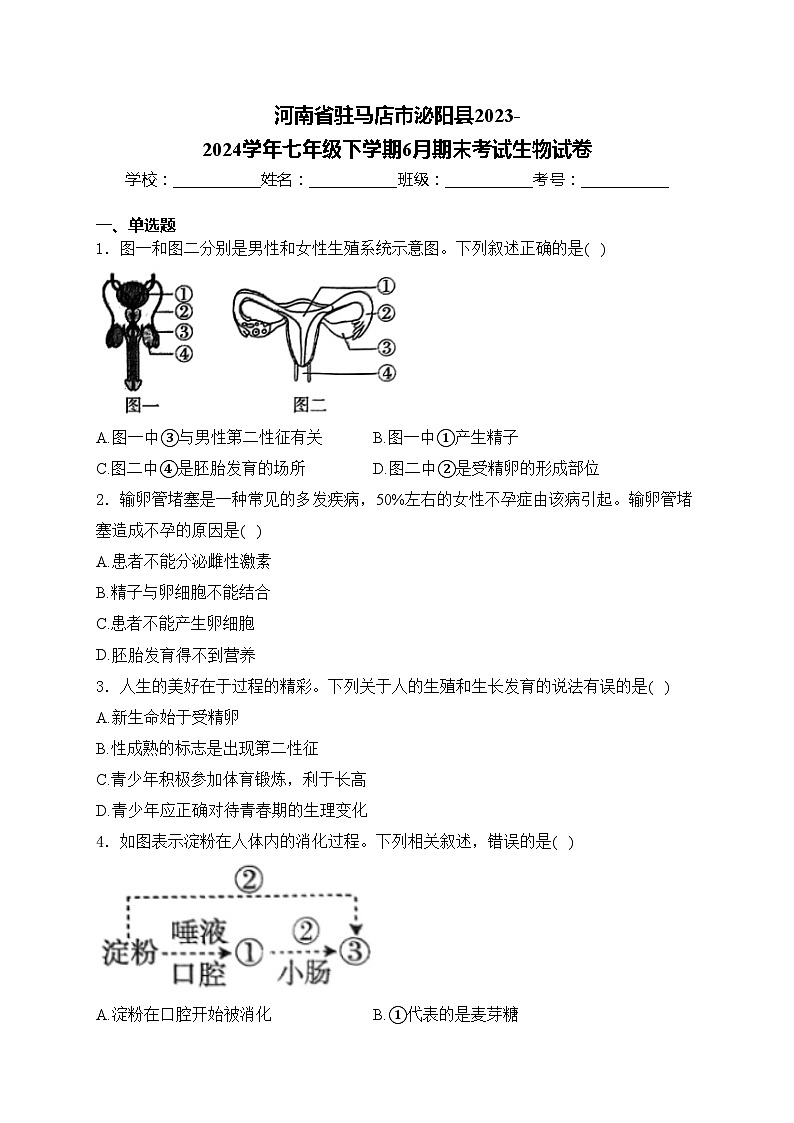 河南省驻马店市泌阳县2023-2024学年七年级下学期6月期末考试生物试卷(含答案)第1页