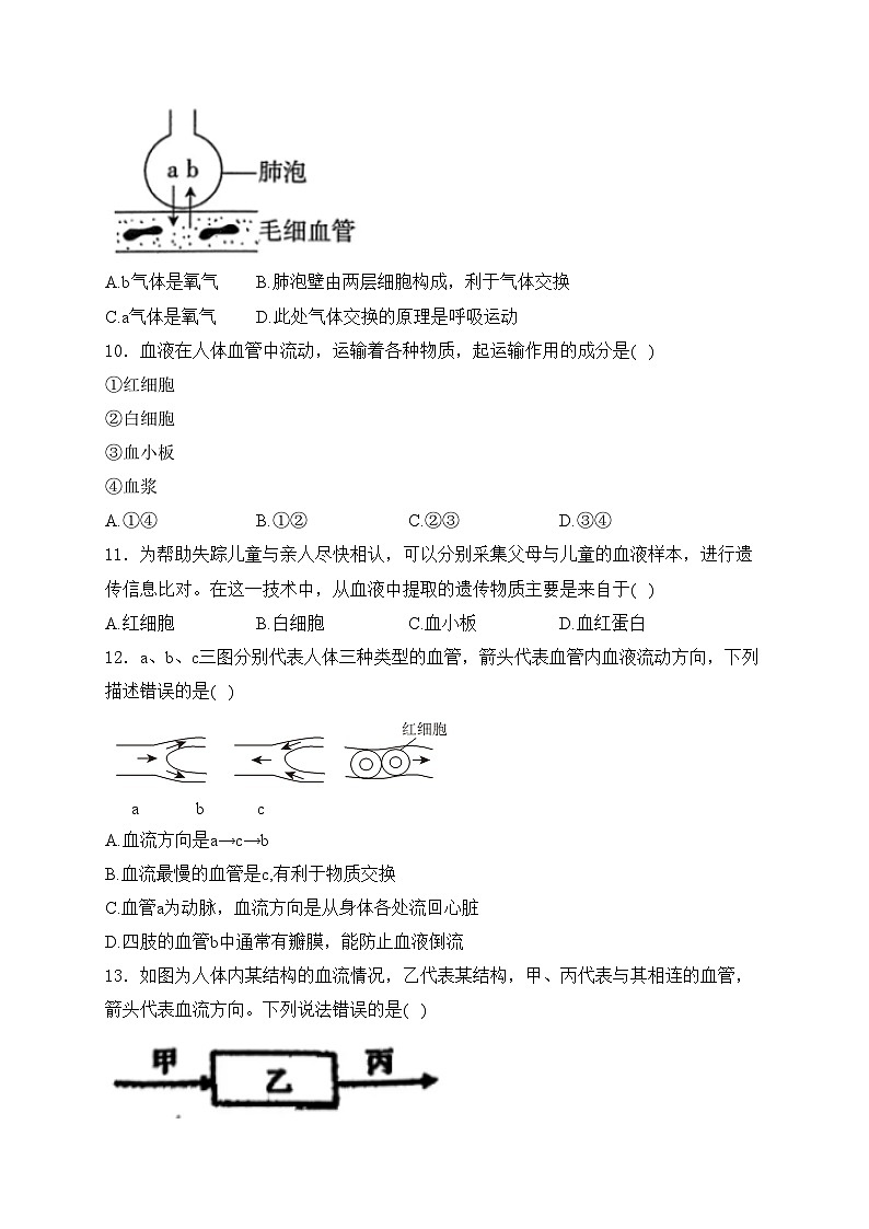河南省驻马店市泌阳县2023-2024学年七年级下学期6月期末考试生物试卷(含答案)第3页