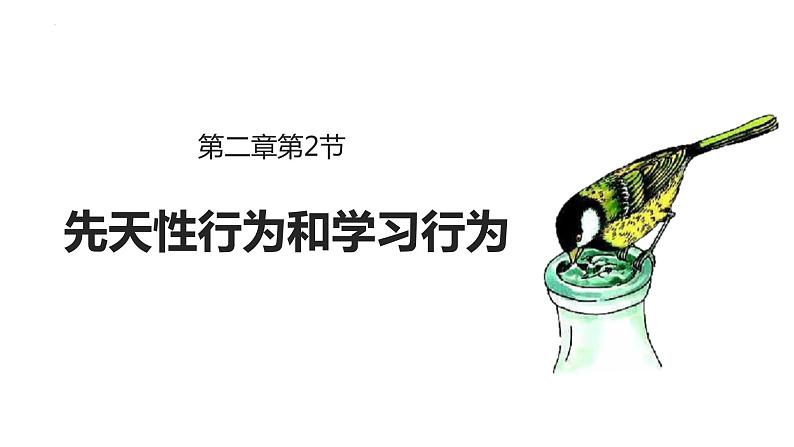 八年级人教版生物学课件3先天性行为和学习行为第1页