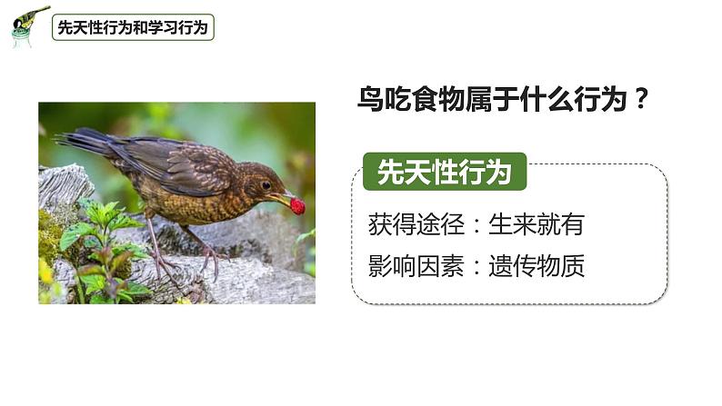 八年级人教版生物学课件3先天性行为和学习行为第4页