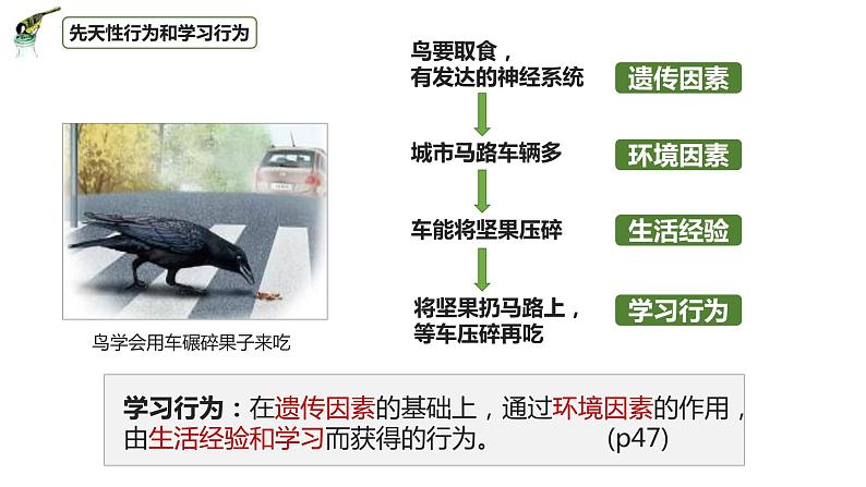 八年级人教版生物学课件3先天性行为和学习行为第7页