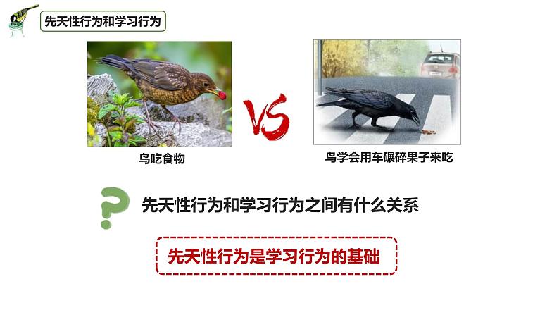 八年级人教版生物学课件3先天性行为和学习行为第8页