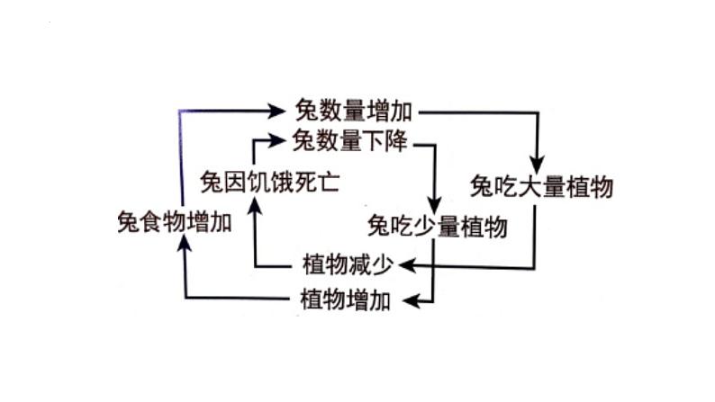 八年级人教版生物学课件动物在生物圈中的作用08