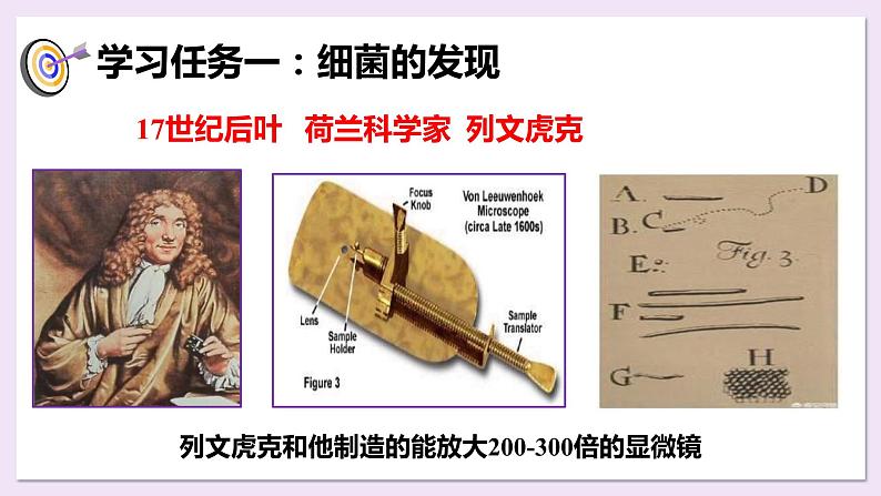 八年级人教版生物学课件5.4.2细菌(公开课)04