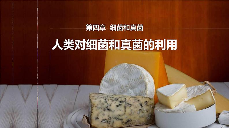 八年级人教版生物学课件人类对细菌和真菌的利用01