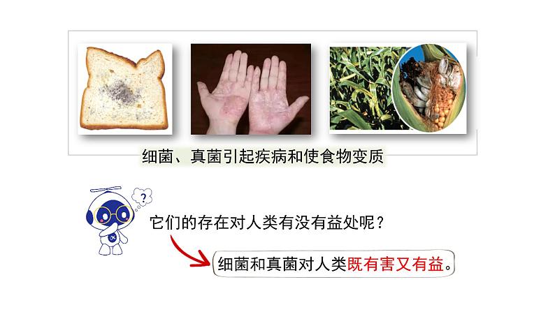 八年级人教版生物学课件人类对细菌和真菌的利用03
