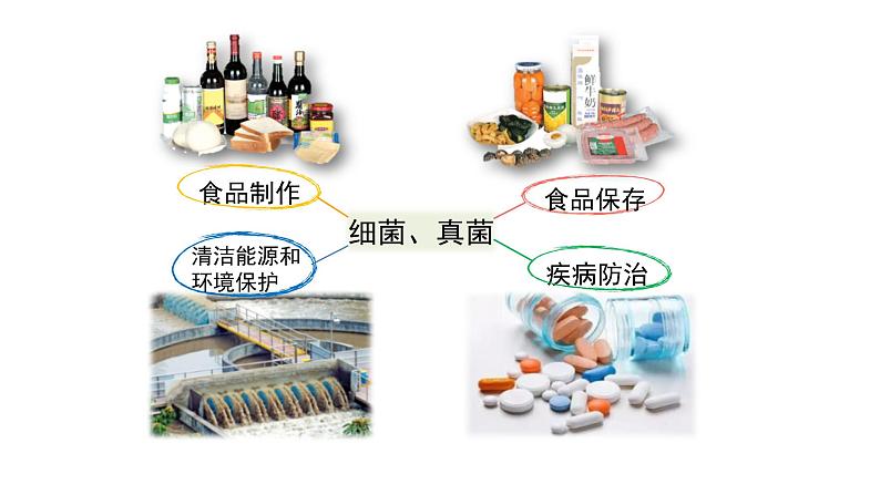 八年级人教版生物学课件人类对细菌和真菌的利用04