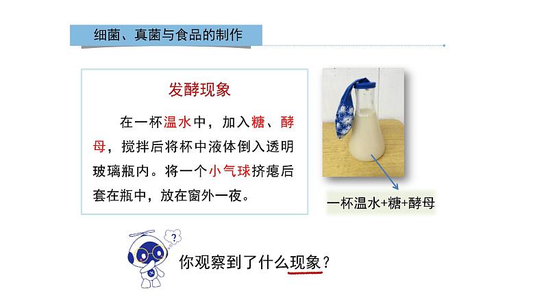 八年级人教版生物学课件人类对细菌和真菌的利用06