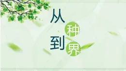 八年级人教版生物学课件4从种到界