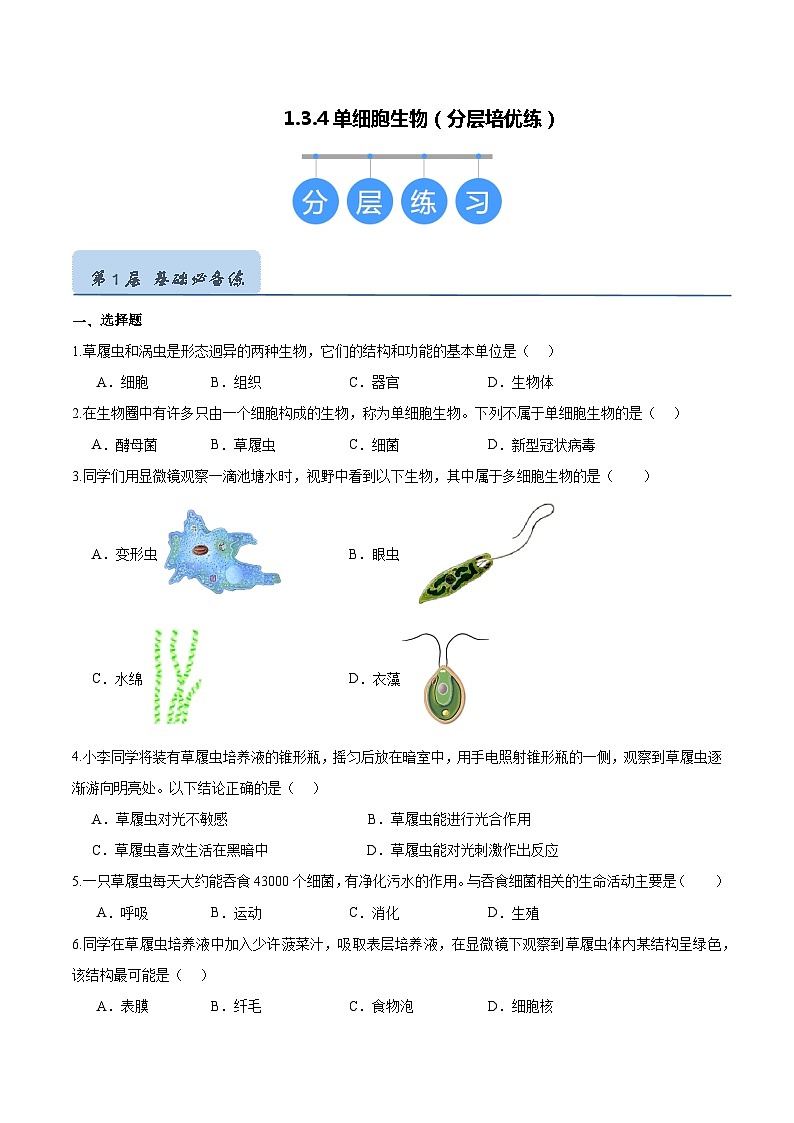 1.3.4 单细胞生物(原卷版)第1页