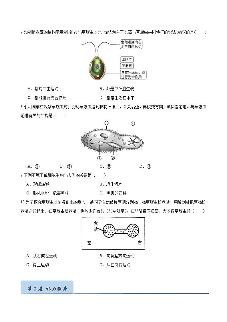 1.3.4 单细胞生物(原卷版)第2页