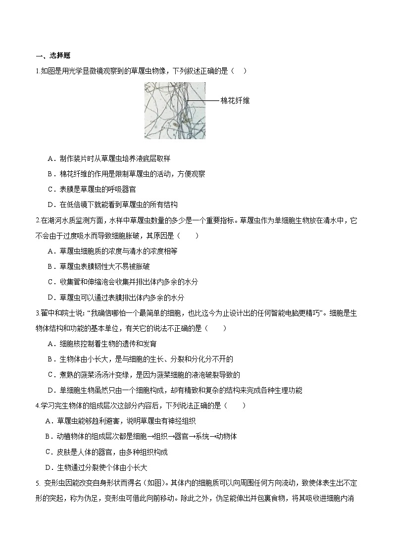 1.3.4 单细胞生物(原卷版)第3页