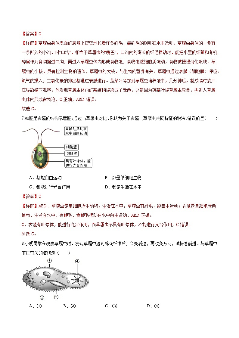 1.3.4 单细胞生物(解析版)第3页