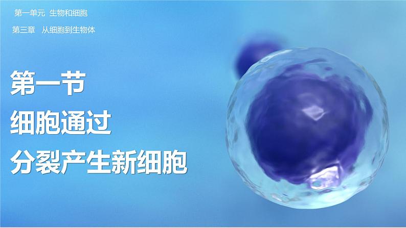 【人教版】七上生物 1.3.1 细胞通过分裂产生新细胞(课件+练习)01