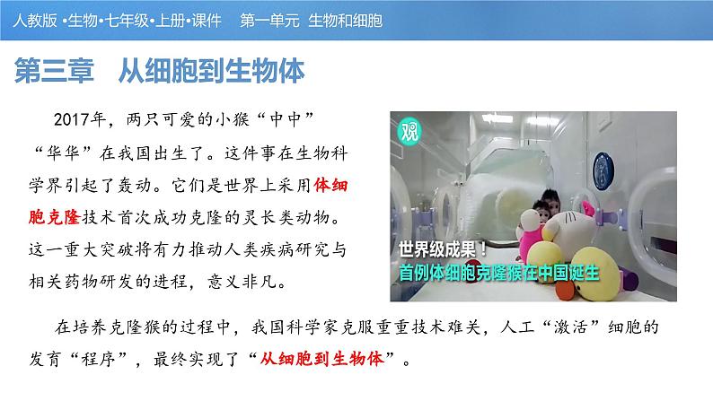 【人教版】七上生物 1.3.1 细胞通过分裂产生新细胞(课件+练习)02