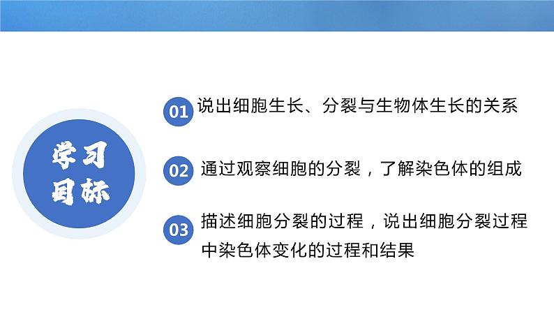【人教版】七上生物 1.3.1 细胞通过分裂产生新细胞(课件+练习)03