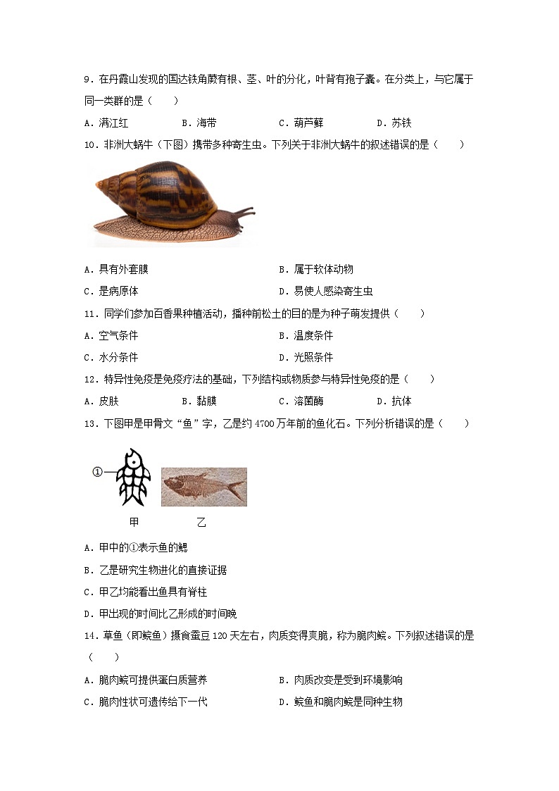 2024年广东云浮中考真题生物试题及答案03