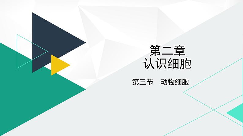 人教版(2024版)七年级生物上册课件 1.2.3 动物细胞01