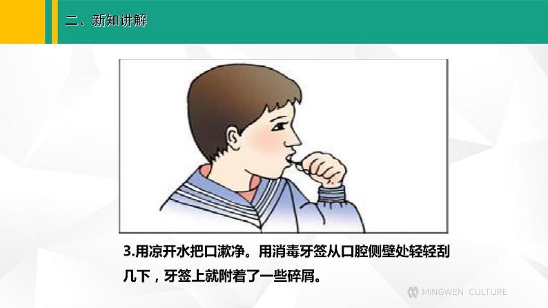 人教版(2024版)七年级生物上册课件 1.2.3 动物细胞08