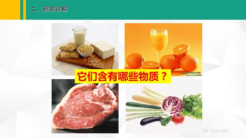 人教版(2024版)七年级生物上册课件 1.2.4 细胞的生活06