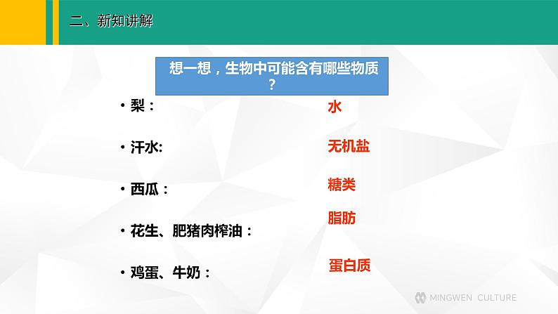 人教版(2024版)七年级生物上册课件 1.2.4 细胞的生活07