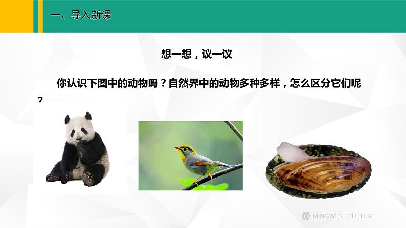 人教版(2024版)七年级生物上册课件 2.2.1 无脊椎动物02