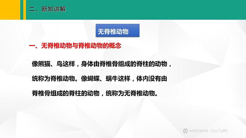 人教版(2024版)七年级生物上册课件 2.2.1 无脊椎动物04
