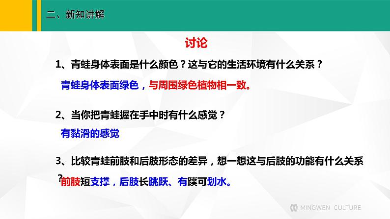人教版(2024版)七年级生物上册课件 2.2.2 脊椎动物 二、两栖动物和爬行动物07