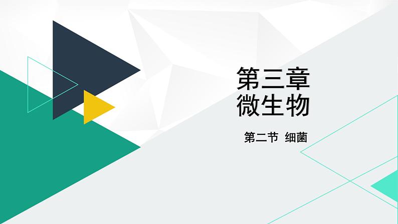 人教版(2024版)七年级生物上册课件 2.3.2 细菌01