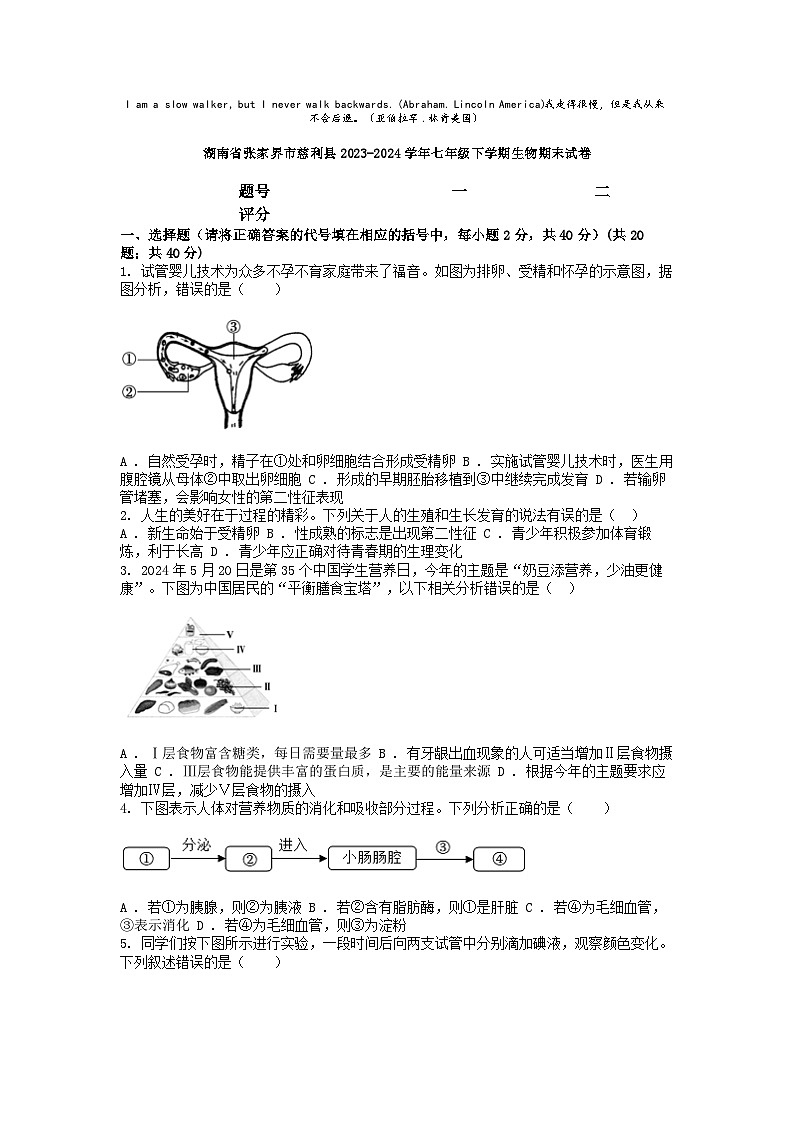 [生物][期末]湖南省張家界市慈利縣2023-2024學年七年級下學期生物期末試卷第1頁