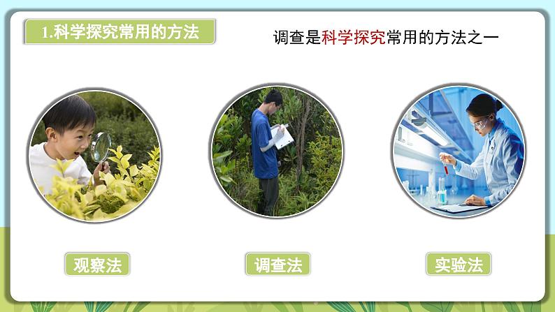 人教版生物七年级上册 1.1.1 观察周边环境中的生物 同步课件07
