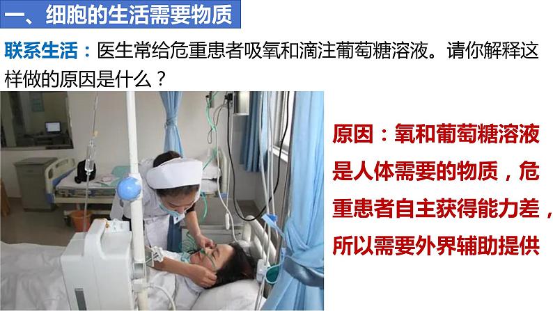 人教版生物七年级上册 1.2.4 细胞的生活 同步课件第4页