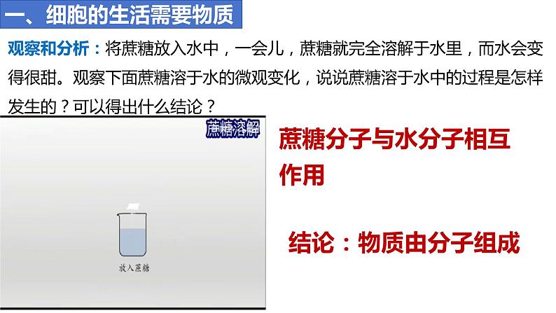 人教版生物七年级上册 1.2.4 细胞的生活 同步课件第5页