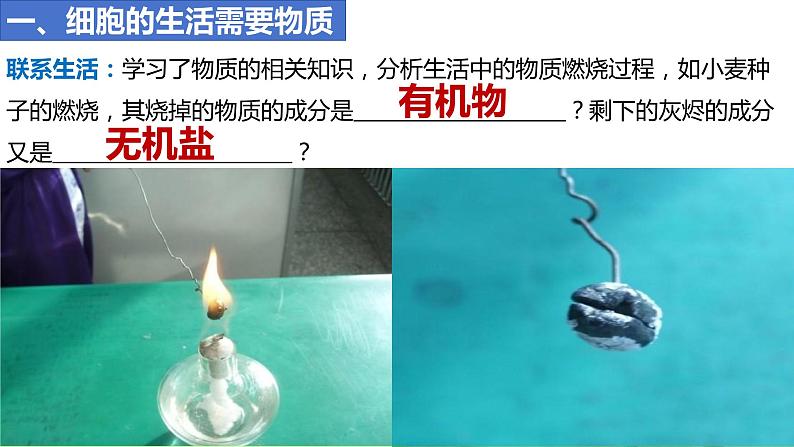 人教版生物七年级上册 1.2.4 细胞的生活 同步课件第7页