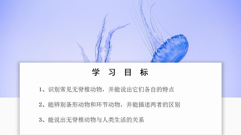 人教版生物七年级上册 2.2.1 无脊椎动物 同步课件02