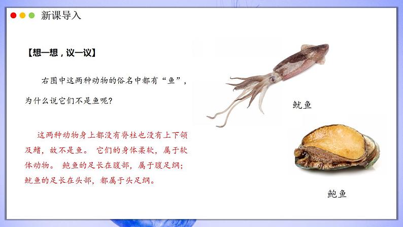 人教版生物七年级上册 2.2.1 无脊椎动物 同步课件03