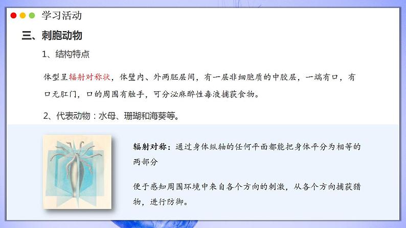 人教版生物七年级上册 2.2.1 无脊椎动物 同步课件07