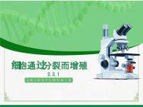 北师大版（2024）七年级上册第2章 细胞优质教学ppt课件