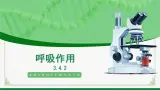 北师大版生物七年级上册 3.4.2 呼吸作用 教学課件