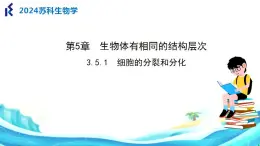 苏科版生物七年级上册 3.5.1细胞的分裂和分化 同步课件