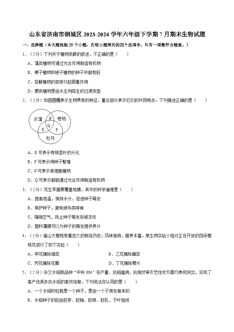 山东省济南市钢城区2023-2024学年六年级下学期7月期末生物试题（含答案）