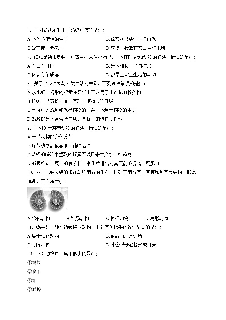 2.2.1无脊椎动物——人教版(2024)七年级生物上册同步课时作业02