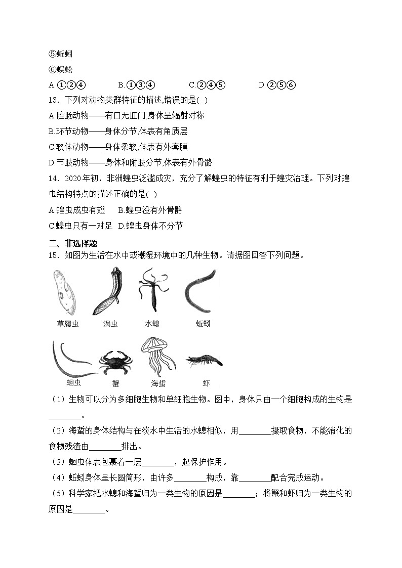 2.2.1无脊椎动物——人教版(2024)七年级生物上册同步课时作业03