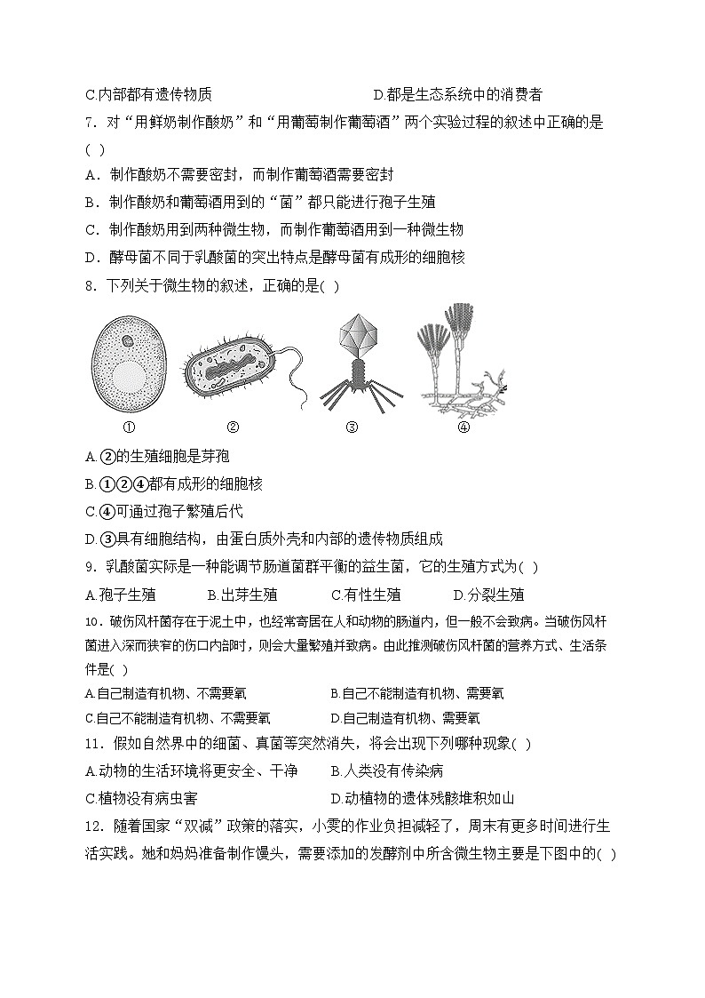 2.3.3 真菌——人教版(2024)七年级生物上册同步课时作业02
