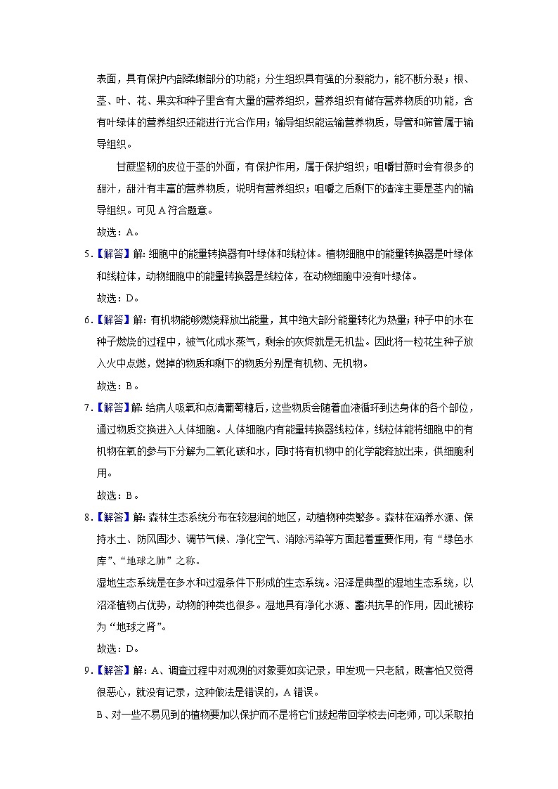 界首市第五中学2023七年级上次期中质量检测-定稿-参考答案第3页