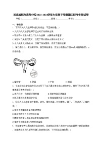河北省邢台市部分校2023-2024学年七年级下学期期末联考生物试卷(含答案)