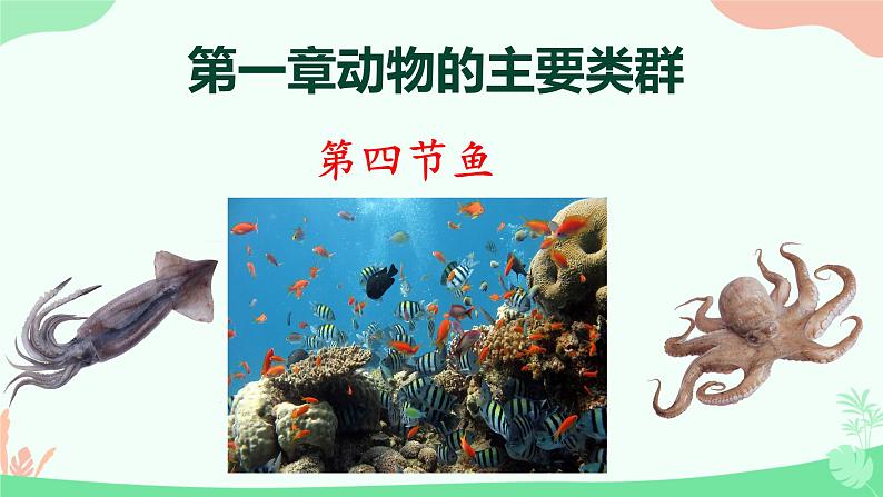 【核心素养】人教版初中生物八年级上册5.1.4《鱼》课件+课时练习+教案(含教学反思)01