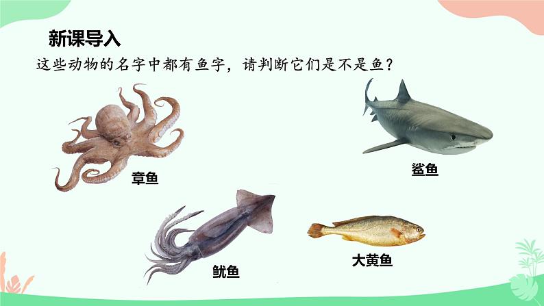 【核心素养】人教版初中生物八年级上册5.1.4《鱼》课件+课时练习+教案(含教学反思)03