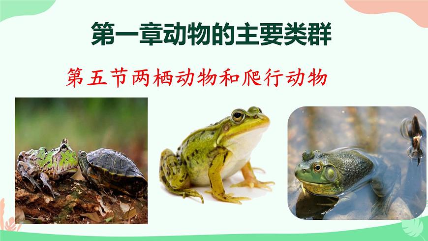 【核心素養(yǎng)】人教版初中生物八年級上冊5.1.5《兩棲動物和爬行動物》課件第1頁